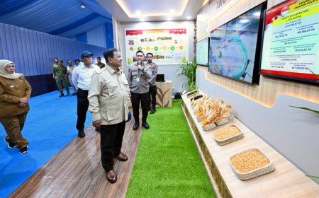 Stok Beras Nasional Tembus 5,3 Juta Ton, Ketahanan Pangan Menguat