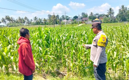 Polres Malang Konsisten Dukung Ketahanan Pangan Melalui Program Pekarangan Produktif