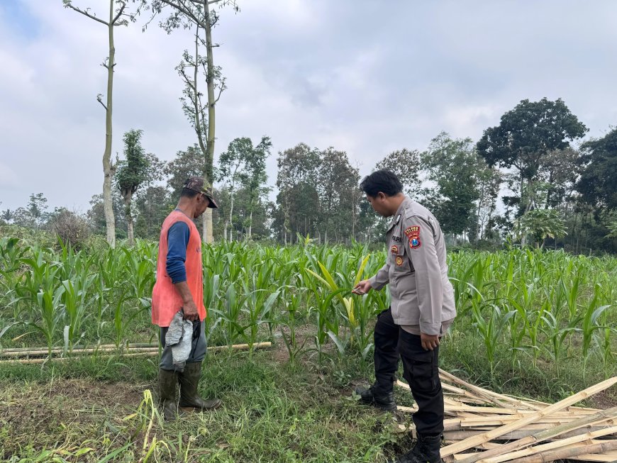 Bukan Cuma Tanam, Polisi Malang Ikut Kawal Hasil Pertanian Warga